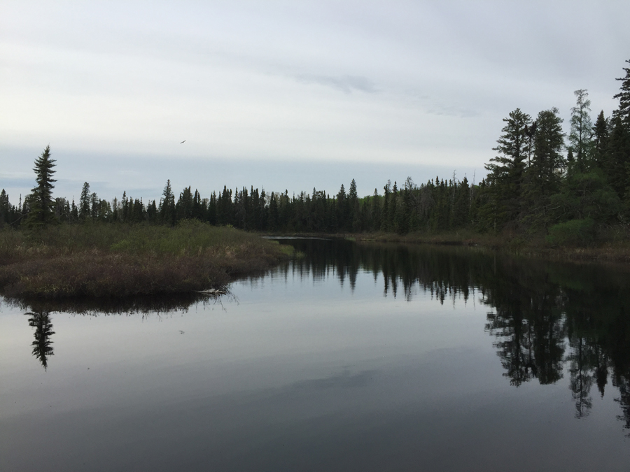 Kawishiwi River just upstream from Koma Lake in BWCA